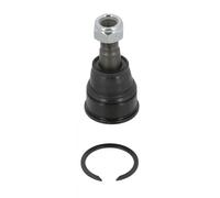 Perno braccio oscillante inferiore HO-BJ-10556 MOOG per HONDA CR-V II