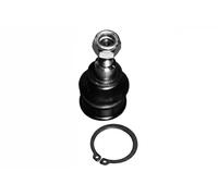Moog Snodo Sospensione Honda Ho-Bj-4919
