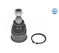 Perno braccio oscillante inferiore 31-16 010 0015 MEYLE per HONDA FR-V