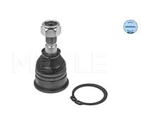 Perno braccio oscillante inferiore 36-16 010 0040 MEYLE per NISSAN MICRA II