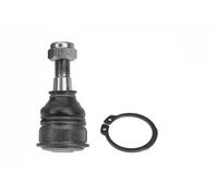 Meyle Giunto sferico anteriore 36-16 010 0049 Sinistra/Destra per Nissan Micra K11