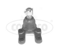 Perno braccio oscillante inferiore 49395848 CORTECO per NISSAN TERRANO II