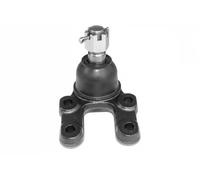 Corteco Testina braccio oscillante inferiore 49395848 per Nissan Terrano II