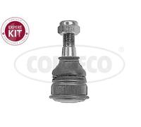 CORTECO 49395915 Testina braccio oscillante