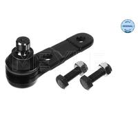 Perno braccio oscillante inferiore 716 010 0001 MEYLE per FORD ESCORT V