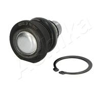 ASHIKA 73-00-007 Testina braccio oscillante