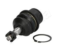 Ashika Ashika 73-09-919