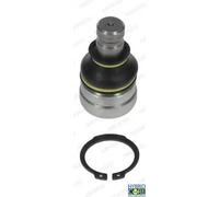 Perno braccio oscillante inferiore MI-BJ-7385 MOOG per MITSUBISHI LANCER VII