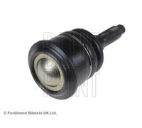 Blue Print Testina Sospensione Inferiore Ada108601