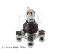Blue Print Testina braccio oscillante ADC48612 per Mitsubishi L300/Delica L200