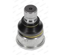 Testina Braccio Oscillante Sospensione Moog Ant Per Renault Master #0Q