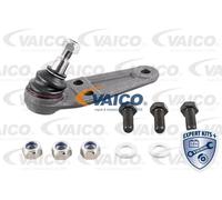 Perno braccio oscillante inferiore V95-9508 VAICO per VOLVO 240 240 Kombi 260