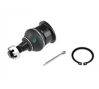 NTY Testina braccio oscillante ZSD-NS-028 per NISSAN X-TRAIL (T30) inferiore