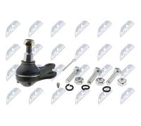 Perno braccio oscillante inferiore ZSD-RE-004 NTY per RENAULT LAGUNA III