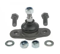 Perno braccio oscillante J4860521 NIPPARTS per KIA HYUNDAI