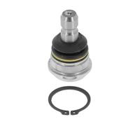 Perno braccio oscillante KI-BJ-17053 MOOG per KIA RIO IV STONIC SOUL III SELTOS