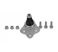 Moog Chassis Parts Giunto di sospensione ME-BJ-8111 per Mercedes-Benz SL, Classe E