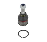 Perno braccio oscillante Assale anteriore NI-BJ-6591 MOOG per NISSAN MICRA II
