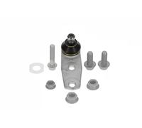 Moog RE-BJ-0811 Giunto di supporto/guida | Compatibile con: RENAULT 19 I, 19 I Cabriolet, 19 I Chamade, 19 II, 19 II Cabriolet, 19 II Chamade, CLIO II