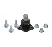 Moog Chassis Parts – Perno braccio oscillante inferiore RE-BJ-15515 per Renault