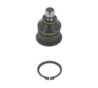 Testina Braccio Oscillante Sospensione Moog Ant Per Renault Megane