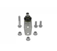 Moog Testina Braccio Oscillante Sospensione RE-BJ-4264 Ant per Nissan Kubistar Renault Twin