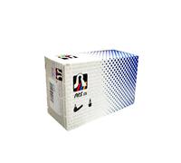 Perno braccio oscillante RTS93.00303 RTS