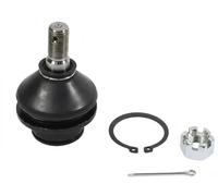 Perno braccio oscillante S080058 GSP per FORD TRANSIT Autobus TRANSIT Furgone