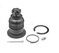 Meyle Giunto sferico 37-16 010 0025 Davanti Superiore Sx/Dx per Hyundai Galloper II