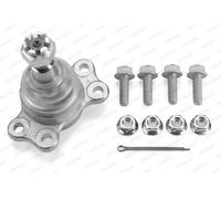 Perno braccio oscillante Superiore OP-BJ-0177 MOOG per ISUZU OPEL