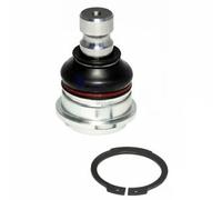 Delphi Giunto di supporto/guida TC1559 per Hyundai e Kia