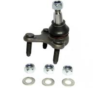Delphi Giunto di sospensione TC1732 – Testina ant. inf. destro per VW/Audi/Seat/Skoda/Cupra