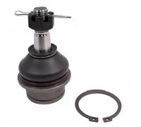 DELPHI TC2557 Testina braccio oscillante per NISSAN NP300 Navara Pickup (D40)