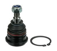 Delphi Perno braccio oscillante TC592 anteriore per Mitsubishi, Proton e Volvo
