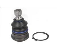 Perno braccio oscillante TC8549 DELPHI per SSANGYONG TIVOLI XLV SUV XLV VAN