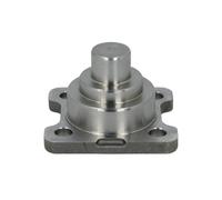 Perno di articolazione DANA SPICER 733.06.059.01