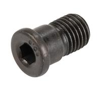 Perno di centraggio per disco freno M10 x1,25 46849187