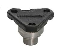 Perno di sterzo ralla S-TR STR-15A279