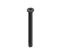 Dt Swiss Rws 12x100 Mm 421659701 Front Through Axle Argento 12 x 100 mm Black