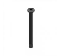 DT Swiss Perno Passante senza Leva - Plug In RWS E-Thru Road - 12x100mm taglia unica