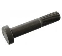 FEBI BILSTEIN 102242 Bullone ruota