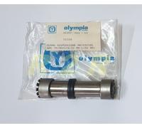 PERNO SNODO FORCELLA COMPLESSIVO PIAGGIO APE TM MAXI DIESEL 9Q