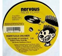 Perpetuous Dreamer - Sound of Goodbye