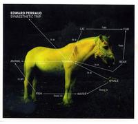 PERRAUD, EDWARD - SYNAESTHETIC TRIP