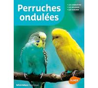 Perruches ondulées