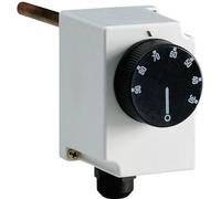 Perry Electric 1TCTB065 Termostato industriale Montaggio esterno 30 fino a 90