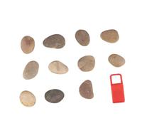 PERSELOSO 1set Pz di Pietre Naturali per Dipingere Pebbles Creativi per attività Include Supporto Stile Casual per Ragazzo Ragazza e Scuola