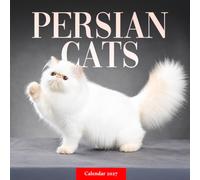 Persian Cats Calendar 2027: Longhaired Cat Photography