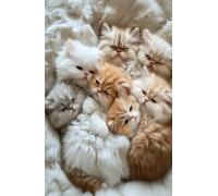 Persian Kitten Notebook: Cute Cat Journal with Lined and Doodle Pages (200 Pages)