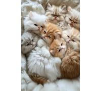 Persian Kitten Notebook: Cute Cat Journal with Lined and Doodle Pages (200 Pages)